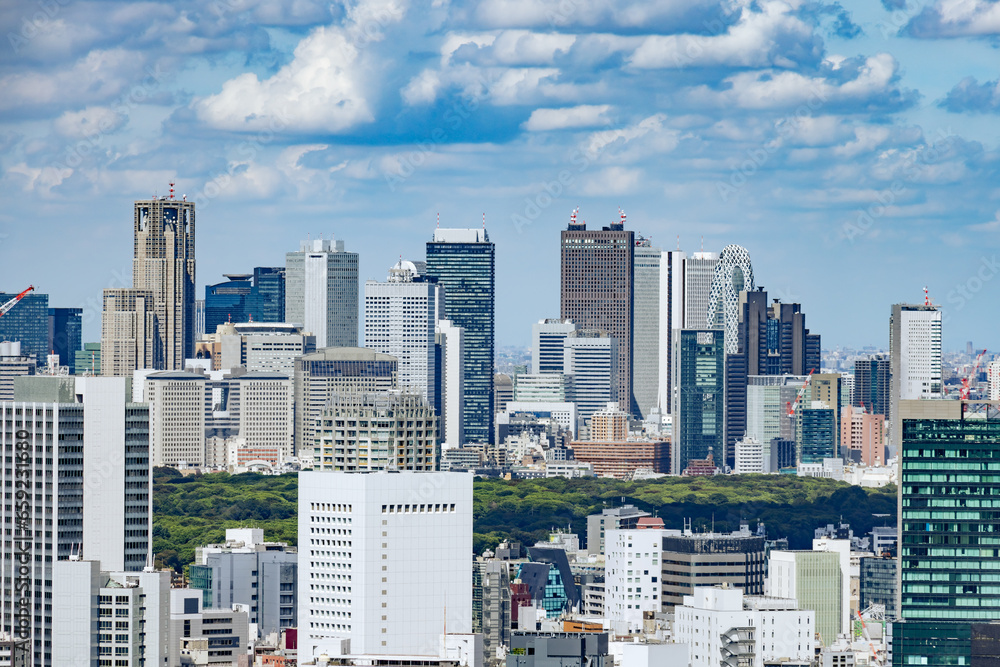 Obraz premium 青空と雲と東京のビル群