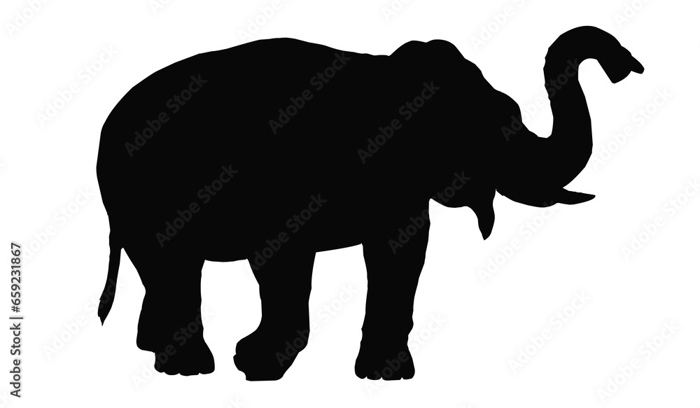 elephant silhouette elephant silhouette