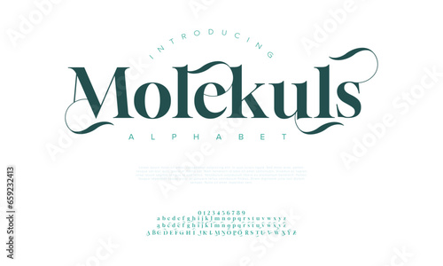 Molekuls premium luxury elegant alphabet letters and numbers. Elegant wedding typography classic serif font decorative vintage retro. Creative vector illustration