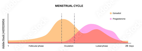 Hormones in pregnancy
