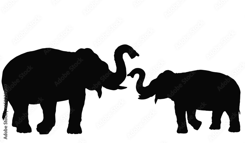 Fototapeta premium elephant silhouette