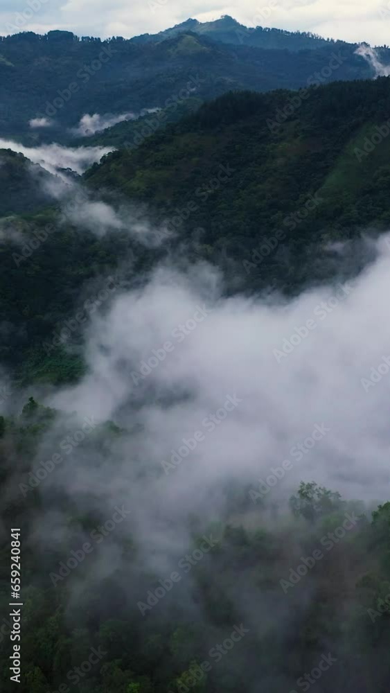 Aerial drone of fog and clouds cover the slopes of mountains with jungle. Aerial drone of fog and clouds cover the slopes of mountains with jungle.