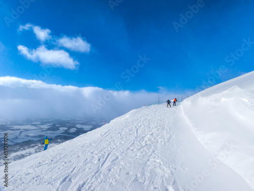 Path in ski slopes connecting to off-piste area (Niseko, Hokkaido, Japan)