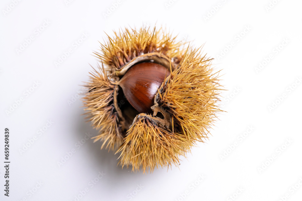 Chestnuts, shell and fruit, isolated, white background Chestnuts, shell and fruit, isolated, white background