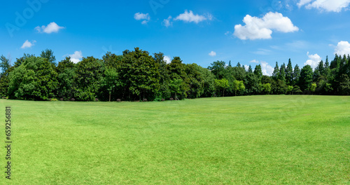 Scenic view of trees on Green grassland against sky