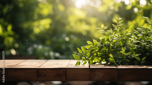 Wooden Table Outdoors with Green Foliage in Sunlight. © L
