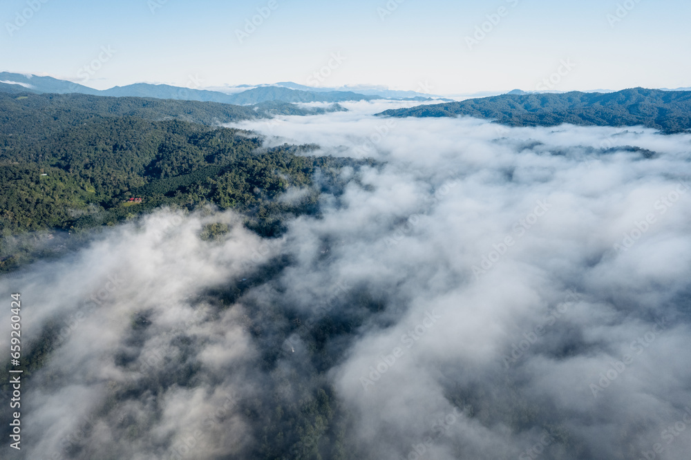 Fog and mountains in the morning forest