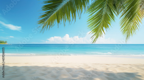 beach with palm trees  clean beach with white sand  travel concept  vacation concept