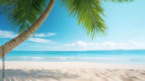 palm tree on the beach, coconut tree on the beach, clean sand on the beach, travel concept