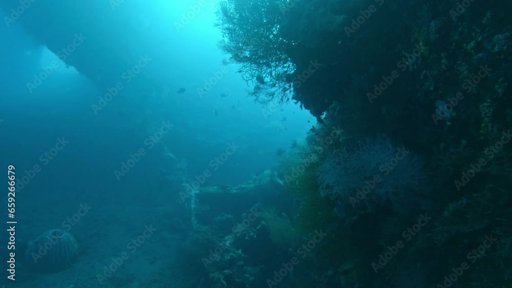 underwater rock fluorescent blue light from the sea surface underwater rock fluorescent blue light from the sea surface