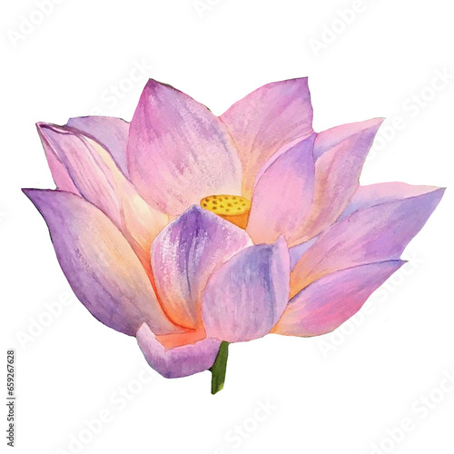 Lotus flowers painted in watercolor. Hand drawn on textured paper. Suitable for creating your ideas: print, poster, wallpaper, backgrounds and cards.