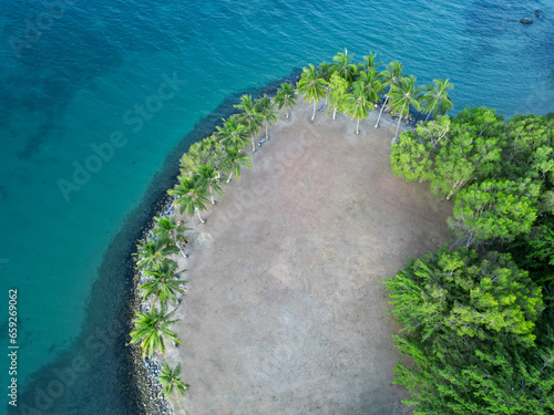 Aerial view of shore with palm trees in Port Douglas, Queensland, Australia