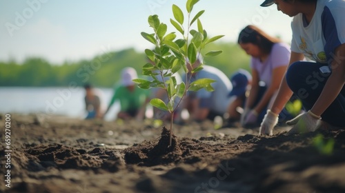 Group of volunteers planting mangrove forests, earth day and save the world.