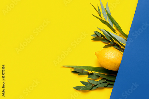 Four species (lulav, hadas, arava, etrog) as Sukkot festival symbols on yellow background photo