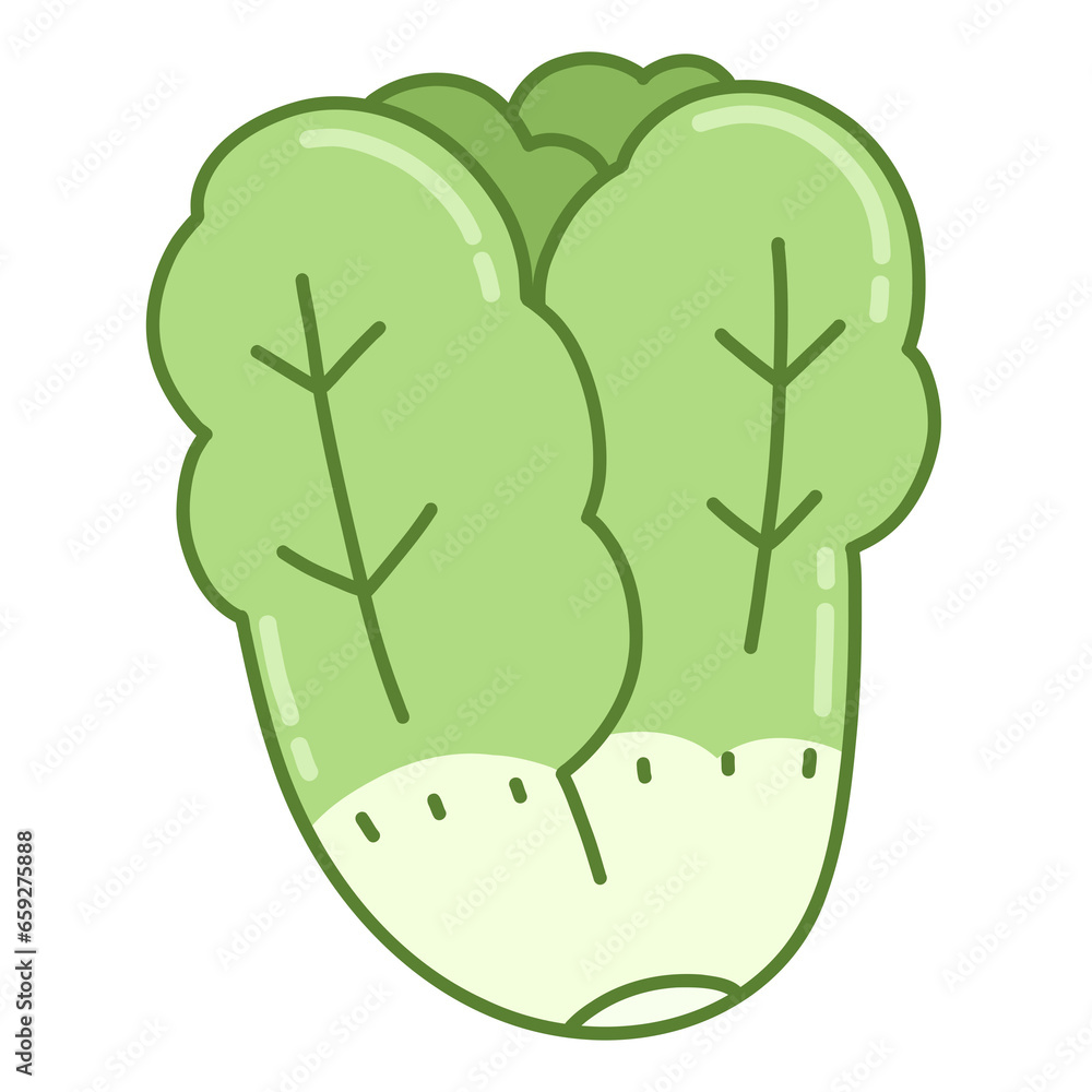 cabbage cabbage
