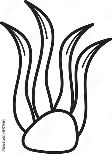 sea weed hand drawn outline