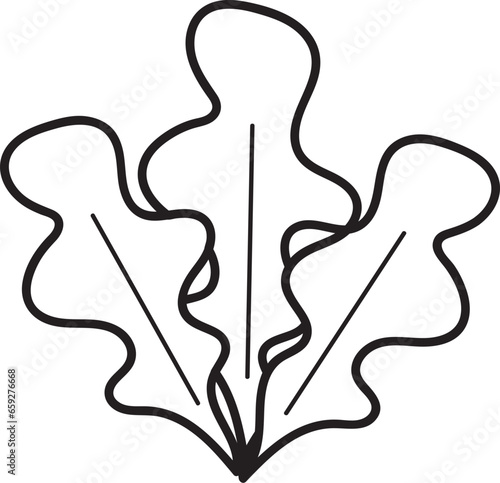 sea weed hand drawn outline