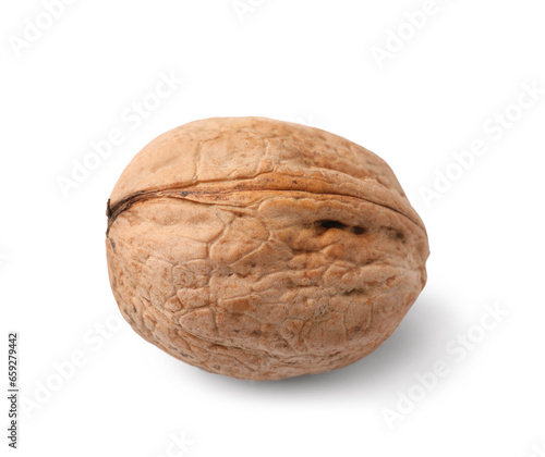 Whole walnut on white background