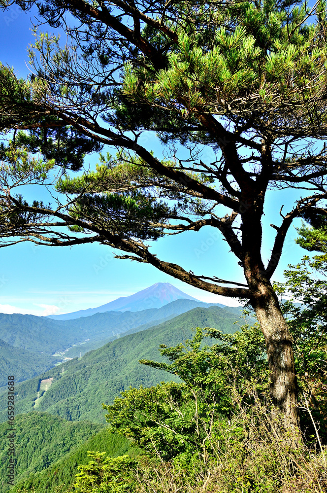 道志山塊の道志山稜縦走コース　赤鞍ヶ岳のウバガ岩より富士山を望む
