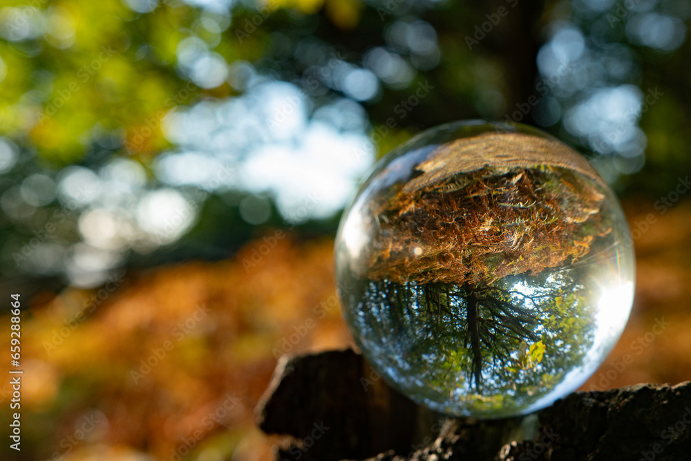 Focus on taking care of nature shown with a glass ball reflecting the Scandinavian forests, landscapes and nature inside and outside the ball. A room with nature in the nature. Focus on taking care of nature shown with a glass ball reflecting the Scandinavian forests, landscapes and nature inside and outside the ball. A room with nature in the nature.