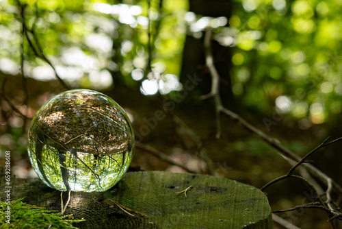 Focus on taking care of nature shown with a glass ball reflecting the Scandinavian forests, landscapes and nature inside and outside the ball. A room with nature in the nature.