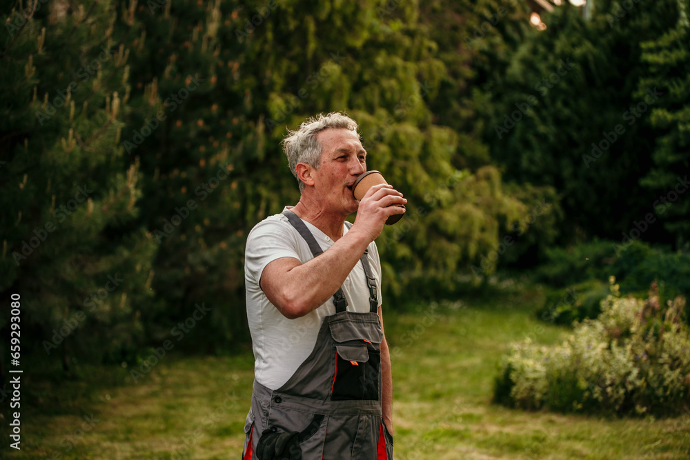 Mature man gracefully sheds his gardening attire, savoring a coffee on a sunny day after trimming the grass Mature man gracefully sheds his gardening attire, savoring a coffee on a sunny day after trimming the grass