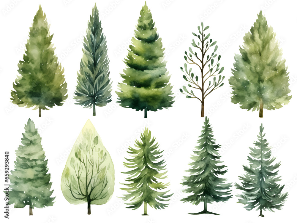 Set of different watercolor pine trees isolated on white background