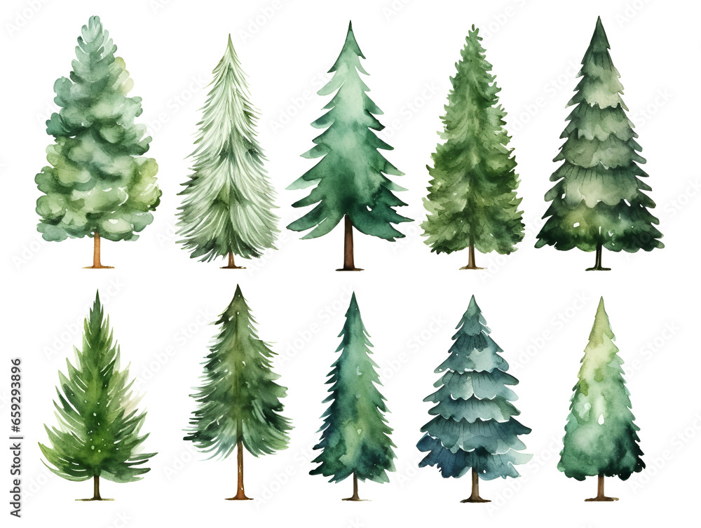 Set of different watercolor pine trees isolated on white background