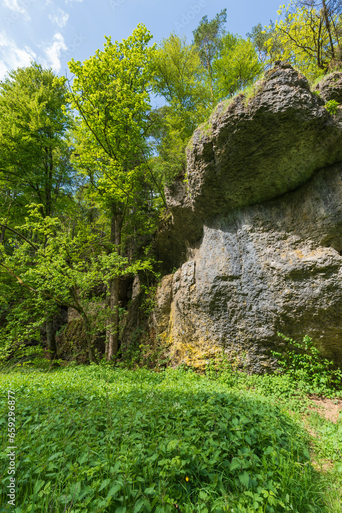 Landschaft im Paradiestal,  Fränkische Schweiz, Gemeinde Stadelhofen, Landkreis Bamberg, Oberfranken, Bayern, Deutschland