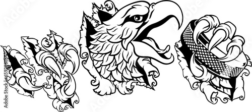 Photography Bald Eagle Hawk Ripping Ice Hockey Mascot Puck