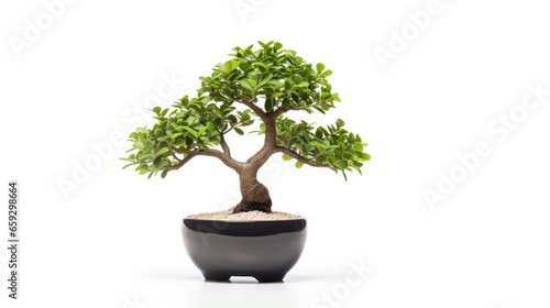 Concept image of a small fake tree in a pot perfect for interior design or office decor