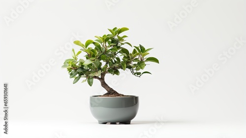 Concept image of a small fa...