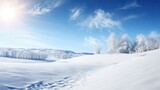 Clear blue sky and bright snow create a winter backdrop outdoors