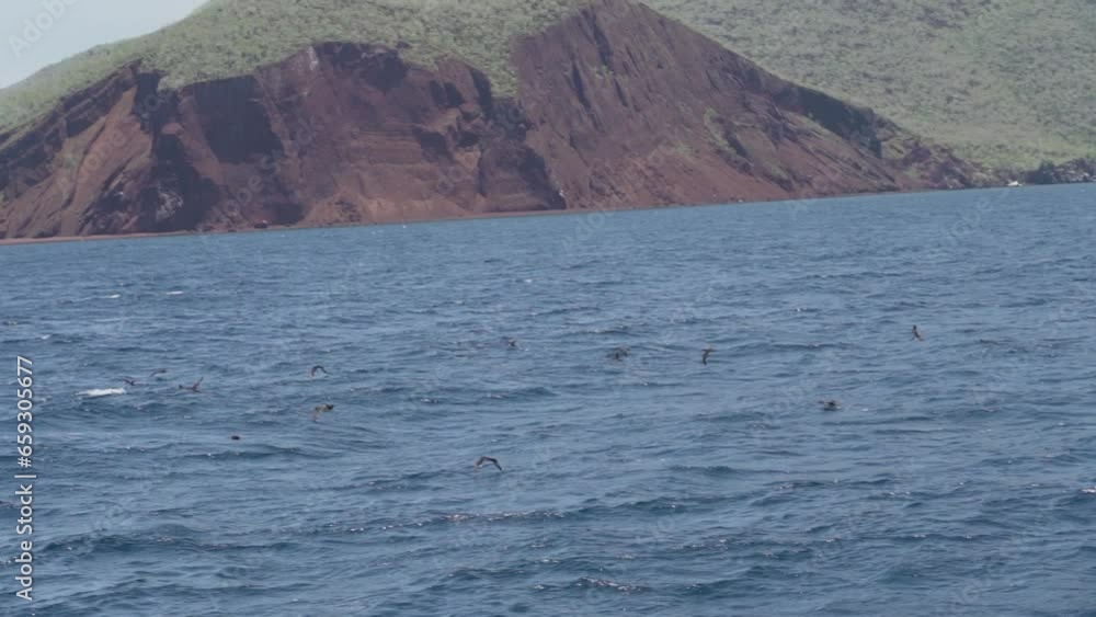 little motor yacht cruising along the white sand beaches of the Galapagos islands through the turquoise sea water of the pacific ocean. little motor yacht cruising along the white sand beaches of the Galapagos islands through the turquoise sea water of the pacific ocean.