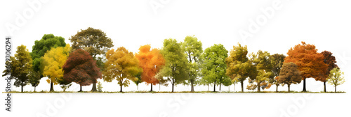 Landscape Autumn trees in the forest and foliage. Row of trees and shrubs. isolated on white and transparent background, ai generate
