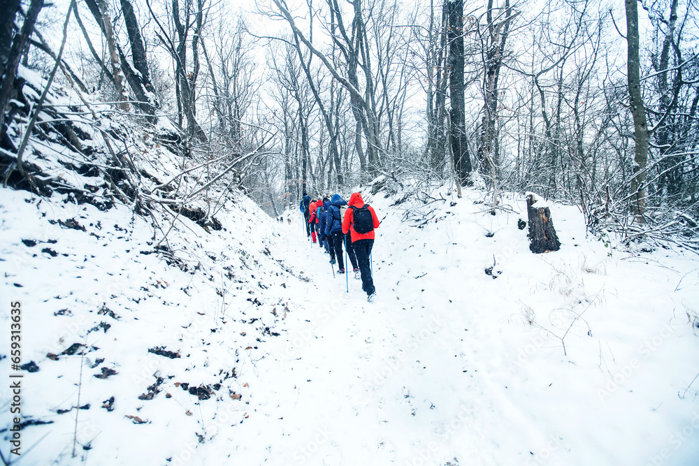 Group of people with backpack hiking on the snow trail on snowy winter day through forest.