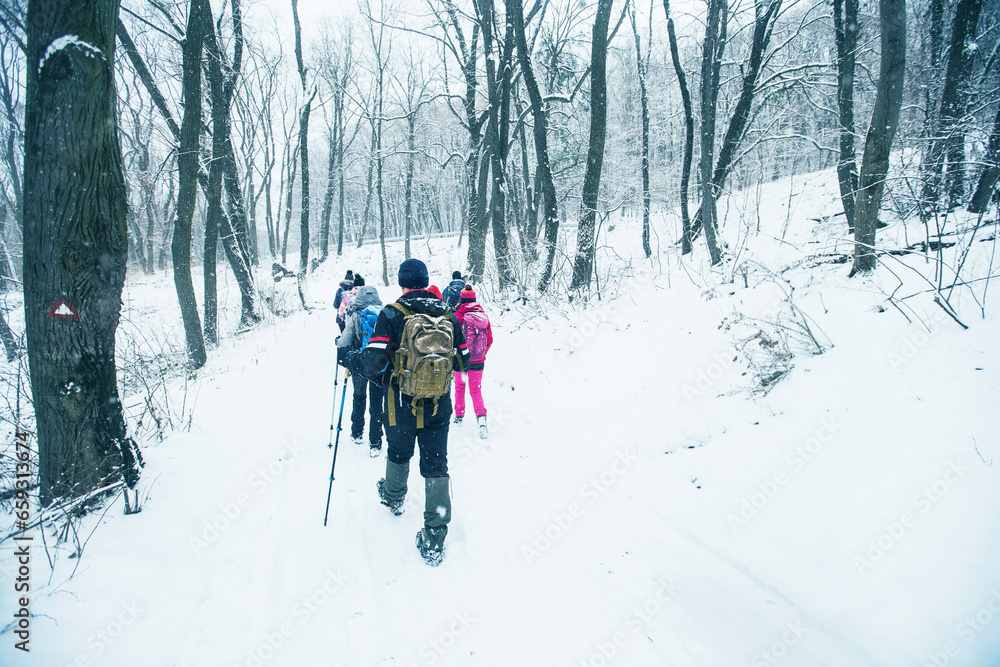 Group of people with backpack hiking on the snow trail on snowy winter day through forest.