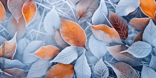 Beautiful colorful nature with bright leaves covered with frost in late autumn or early winter water drops after rain.
