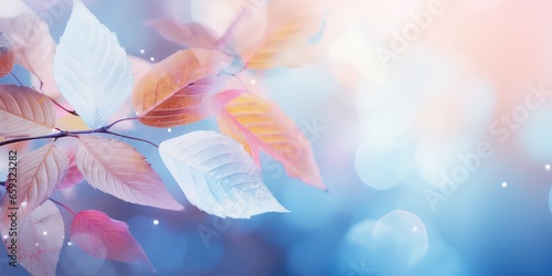 Beautiful colorful nature with bright leaves covered with frost in late autumn or early winter water drops after rain.