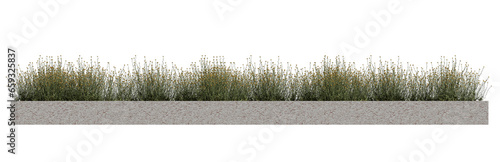 Small plants with yellow flower in concrete planter, green grass isolated on transparent background..
