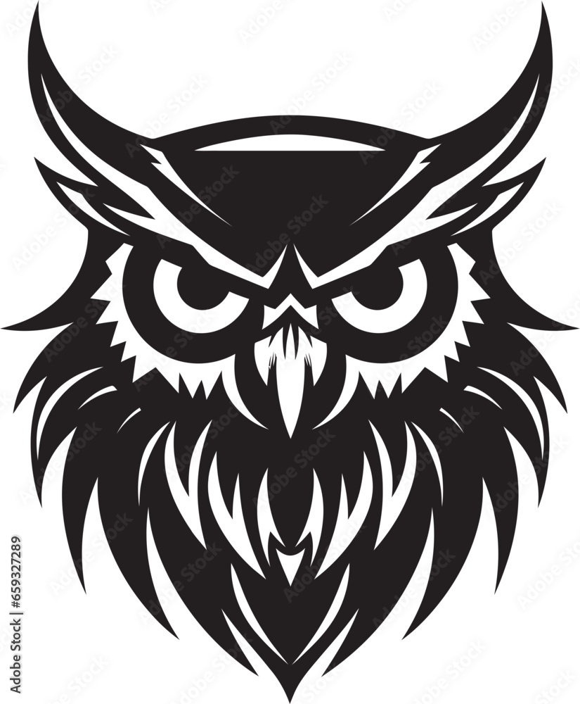 Intricate Moonlit Owl Art Owl Face in the Dark