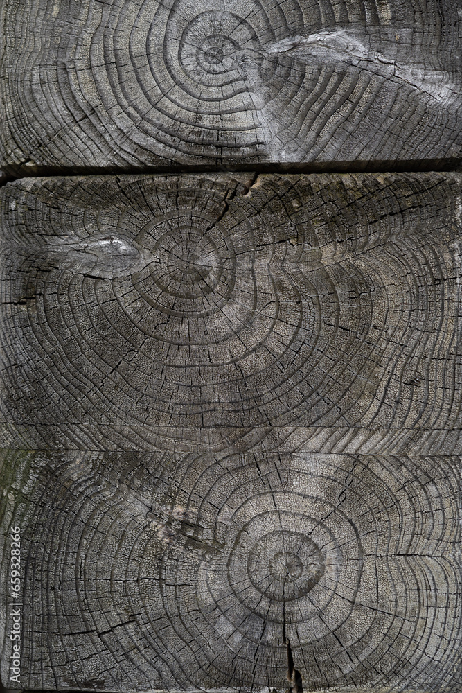 Fototapeta premium 木目調