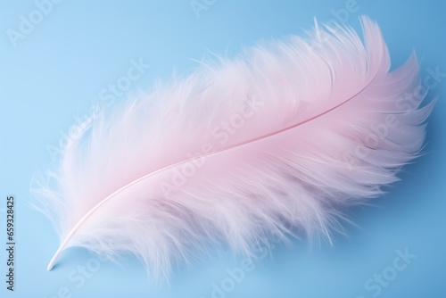 Delicate Feather on Pastel Pink and Blue Background