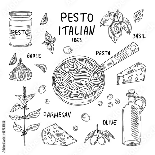 Pesto sauce set. Sketch basil leaves, garlic, hard parmesan cheese, olive oil, pesto. Spicy condiment, glass bottle, bunch of seeds.