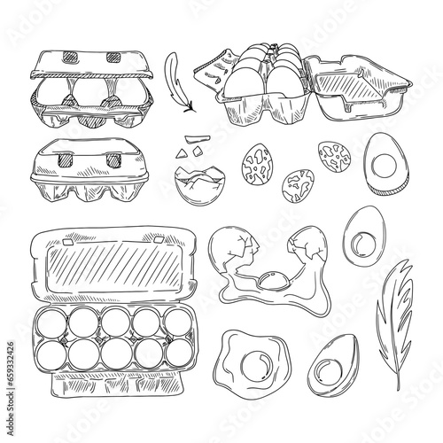 Eggs sketch. Vector illustration of natural egg, broken shell, egg box, egg packaging. Chicken eggs, quail eggs