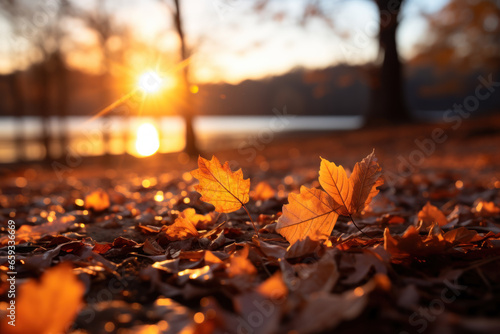 falling leaves on an autumn sunset