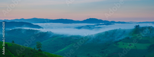 Terraced Rice Field in Chiangmai, Thailand, Pa Pong Piang rice terraces, green rice paddy fields during rain season during sunrise with mist and foggy clouds