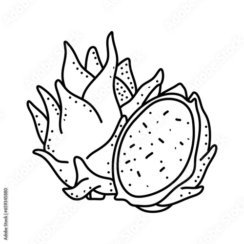 Dragon fruit doodle icon isolated on a white background. vector illustration
