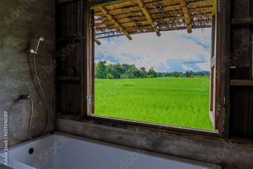 Fototapeta Naklejka Na Ścianę i Meble -  view from a window with bath tub at a small homestay on the farm with a green rice paddy field in Central Thailand