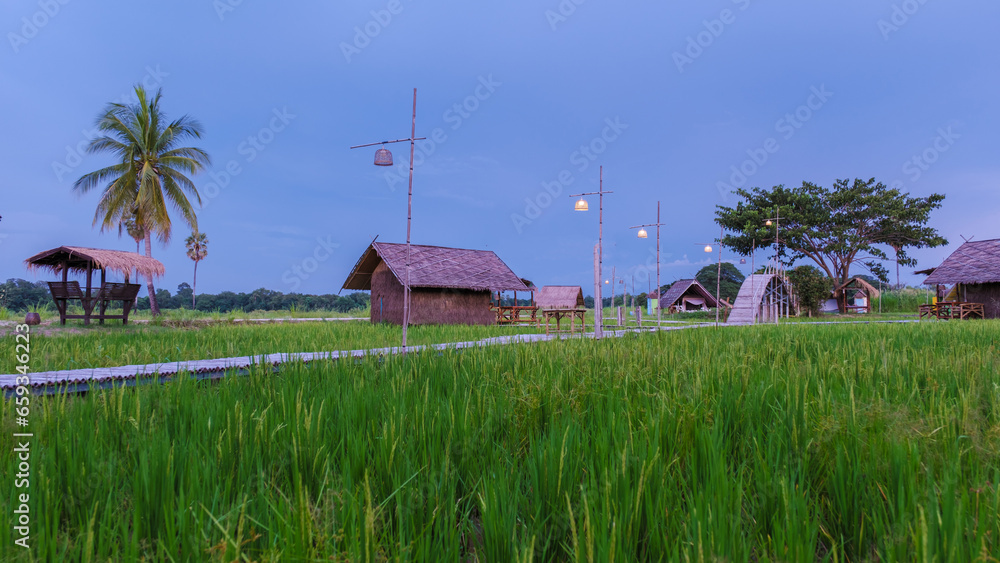 small homestay at the farm with a green rice paddy field in Central Thailand, bamboo huts at a green rice paddy field